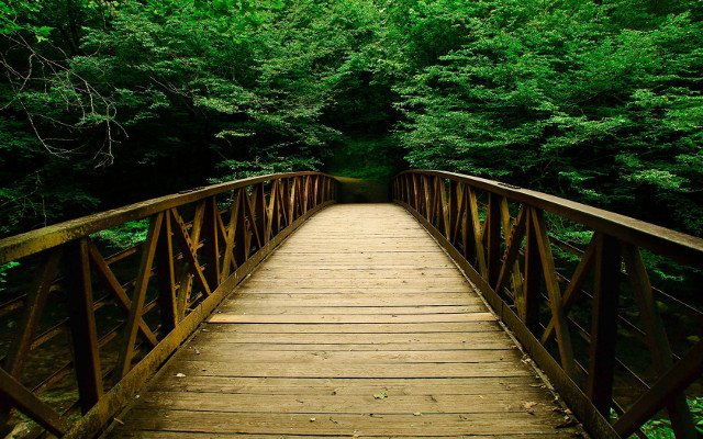 a bridge representing reconciliation